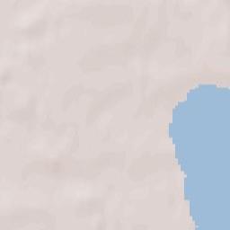 Armizonskoye Terrain Map