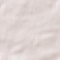 Bishopbriggs Terrain Map