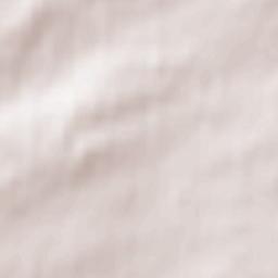 Livingston Terrain Map