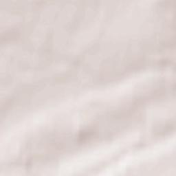 Ormiston Terrain Map