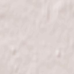 Khimki Urban Okrug Terrain Map