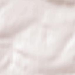 Borodino Terrain Map