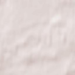 Arkhangel’skoye Terrain Map