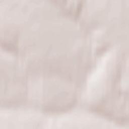 Spasskoye Terrain Map