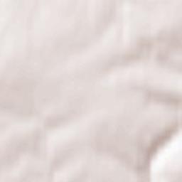 Yashkino Terrain Map