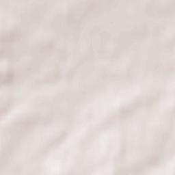 Elderslie Terrain Map