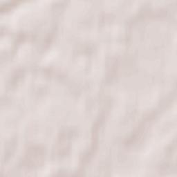 Rasonski Rayon Terrain Map