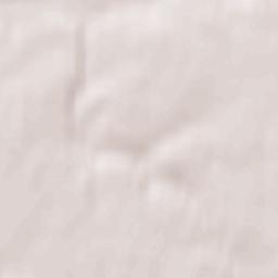 Bel’skiy Rayon Terrain Map