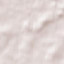 Thornliebank Terrain Map