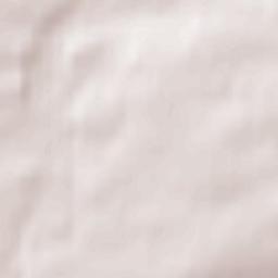 Chirnside Terrain Map