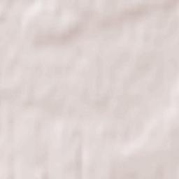 Vostochnyy Terrain Map