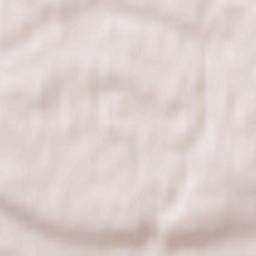 Staroye Arakchino Terrain Map