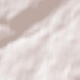 Neilston Terrain Map