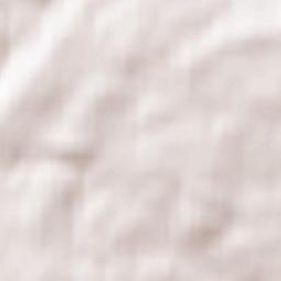 Carmunnock Terrain Map