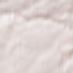 Newmains Terrain Map