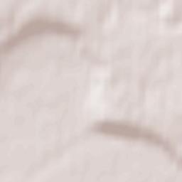 Nikolina Gora Terrain Map