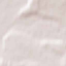 Petrovo-Dal’neye Terrain Map