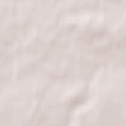 Zheleznodorozhnyy Terrain Map