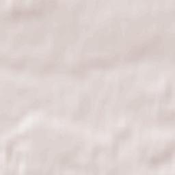 Rakhmanovo Terrain Map