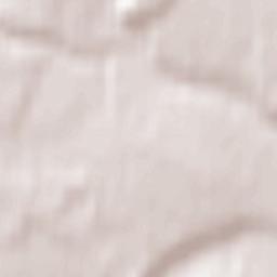 Karinskoye Terrain Map