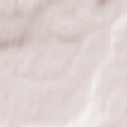 Savvinskaya Sloboda Terrain Map