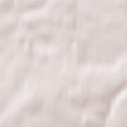 Gorki Vtoryye Terrain Map