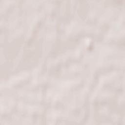 Novokuz’minki Terrain Map