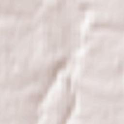 Nazar'yevo Terrain Map