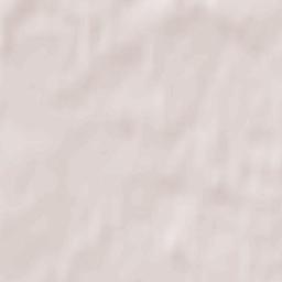 Gusevskiy Terrain Map