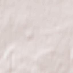 Zhavoronki Terrain Map