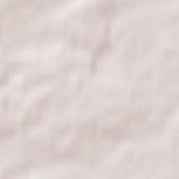 Polatski Rayon Terrain Map