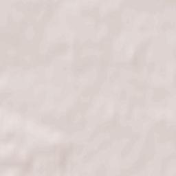 Rechitsy Terrain Map