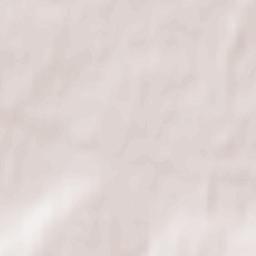 Buturlino Terrain Map