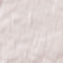 Petrovskaya Terrain Map