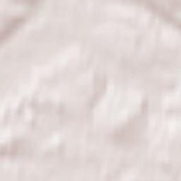 Anyksciai Terrain Map