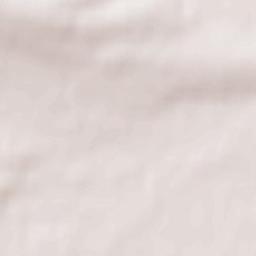 Partizanskoye Terrain Map