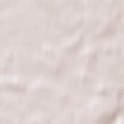 Šilalė Terrain Map