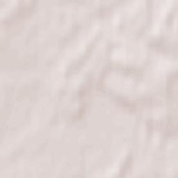 Savasleyka Terrain Map