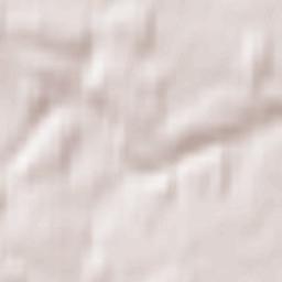 Shishkin Les Terrain Map