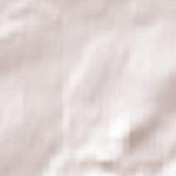 Whittingham Terrain Map