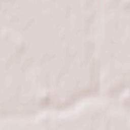 Žemaičių Naumiestis Terrain Map