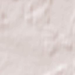 Dmitrovskiy Pogost Terrain Map