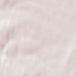 Shimorskoye Terrain Map