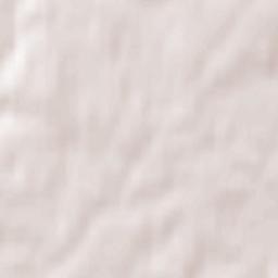 Roshchino Terrain Map