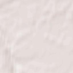 Moshkovo Terrain Map