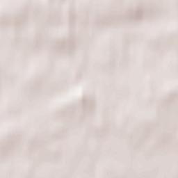 Assens Kommune Terrain Map