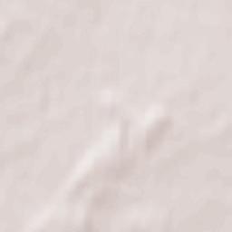 Troitskoye Terrain Map