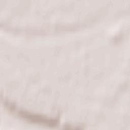 Ariogala Terrain Map