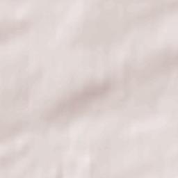 Longhorsley Terrain Map