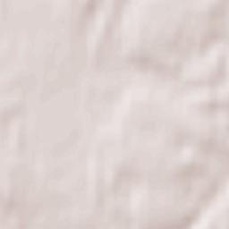 Stolbovaya Terrain Map